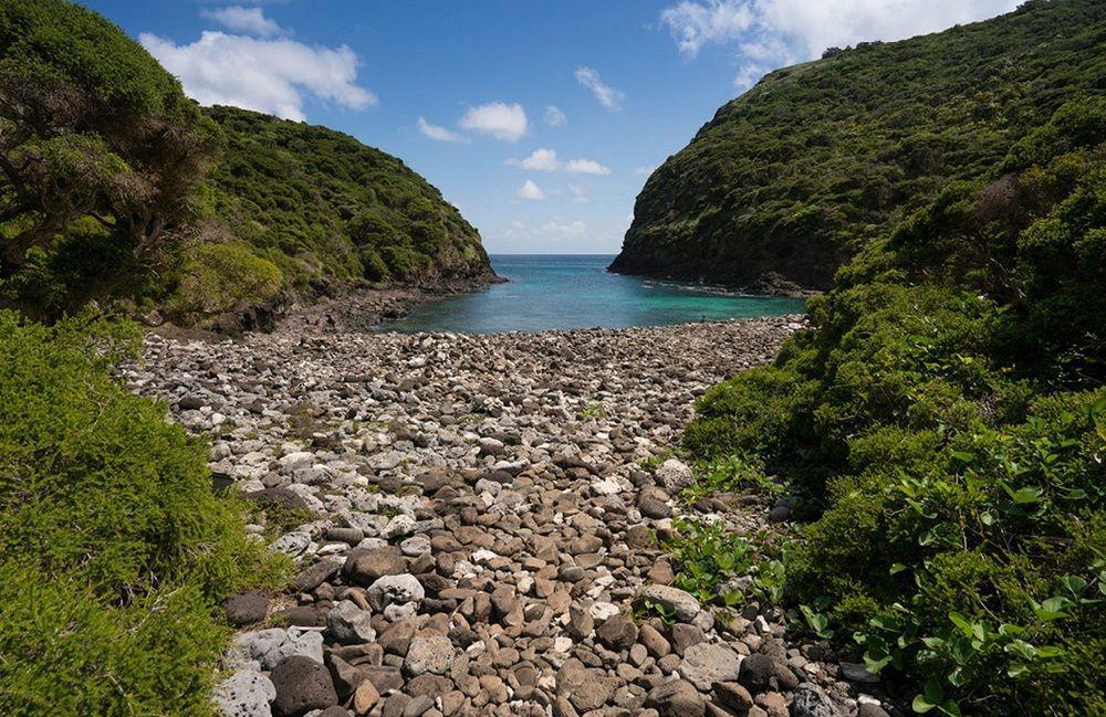 Villa Arajilla Retreat Lord Howe Island Exterior foto