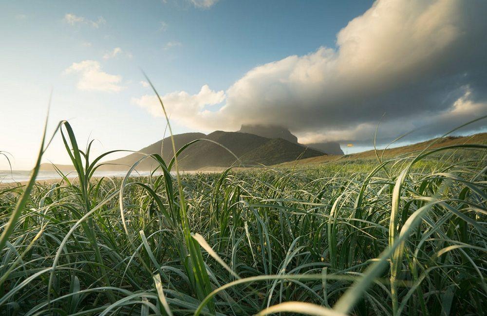 Villa Arajilla Retreat Lord Howe Island Exterior foto